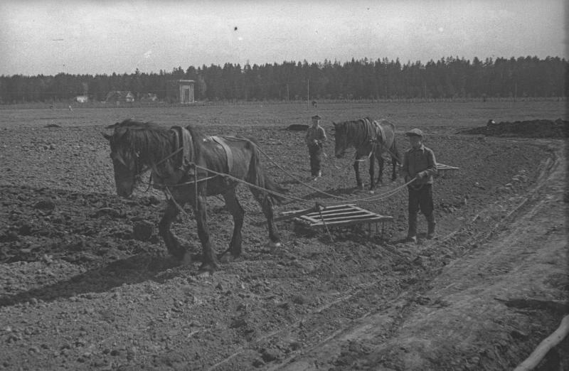 Фото Дети на полевых работах, 1943 год - История России вфотографиях