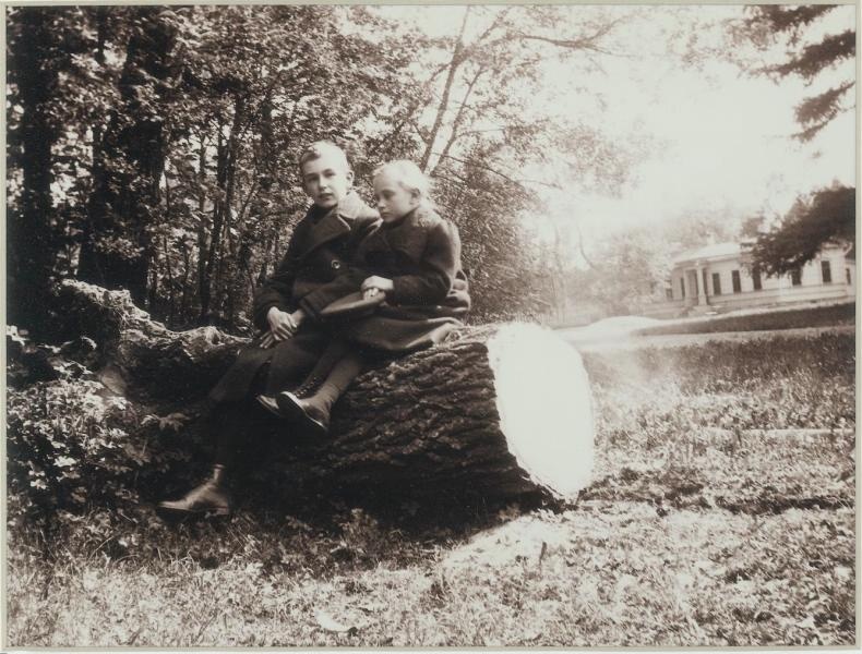 На бревне, 1910-е