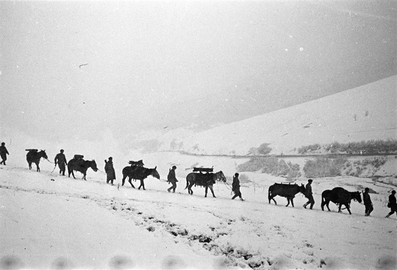 28 октября 1944. Карпатская операция 1944. 9.Восточно-Карпатская операция эфото. Восточно-Карпатская операция цель.