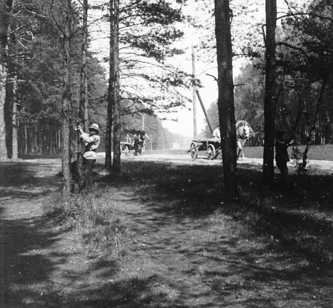 Проезжая дорога в лесу, 1910-е