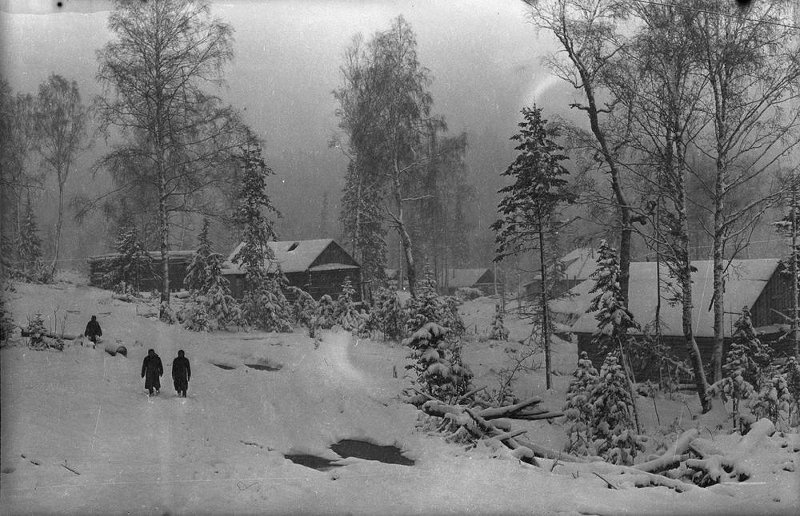 Дома в зимнем лесу, 1950-е