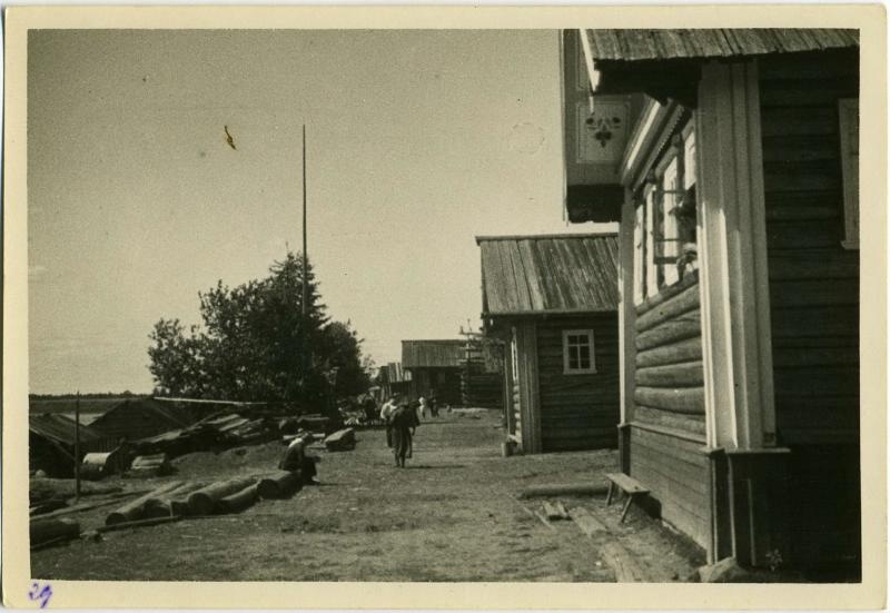 Деревня Прохново, 1920-е, Архангельская губ., дер. Прохново