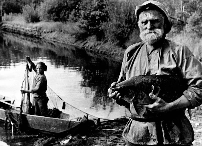 Старик с рыбой, 1960-е. Выставка «Возраст мудрости», видео «Дмитрий Бальтерманц» с этим снимком.