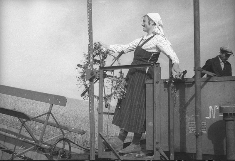 Комбайнер товарищ Сергеева, 1938 год, Куйбышевская обл.. Ныне Самарская область.