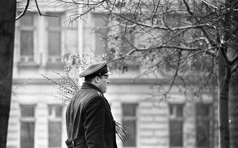 Весна, 1973 год, г. Москва