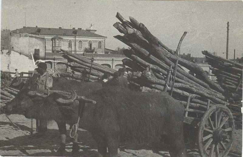 Доставка дров для продажи на рынок, 1920-е, Кавказ, Северный Кавказ