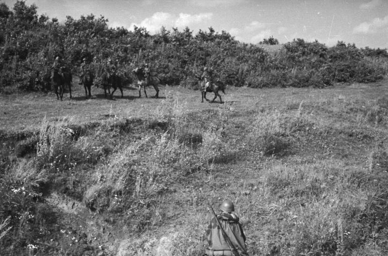 Кавалеристы на опушке леса, 1940 - 1942, СССР