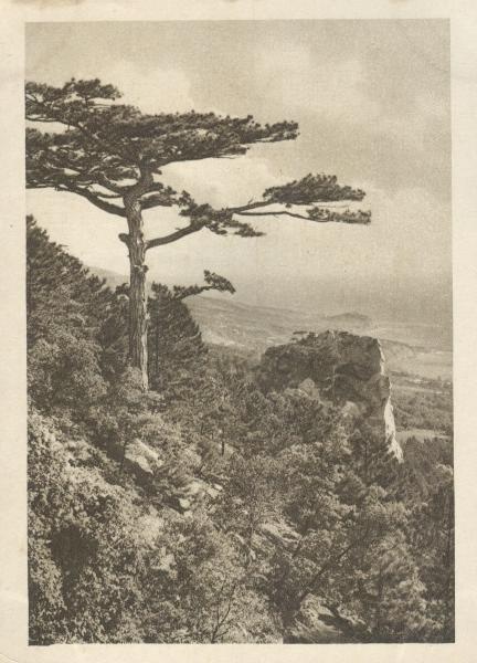 Горный пейзаж близ Алупки, 1930 год, Крымская АССР