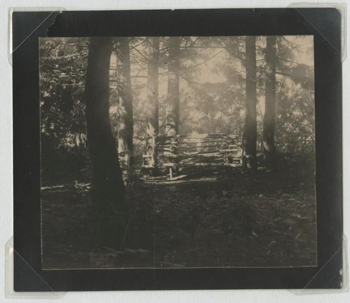 В лесу, 1920-е