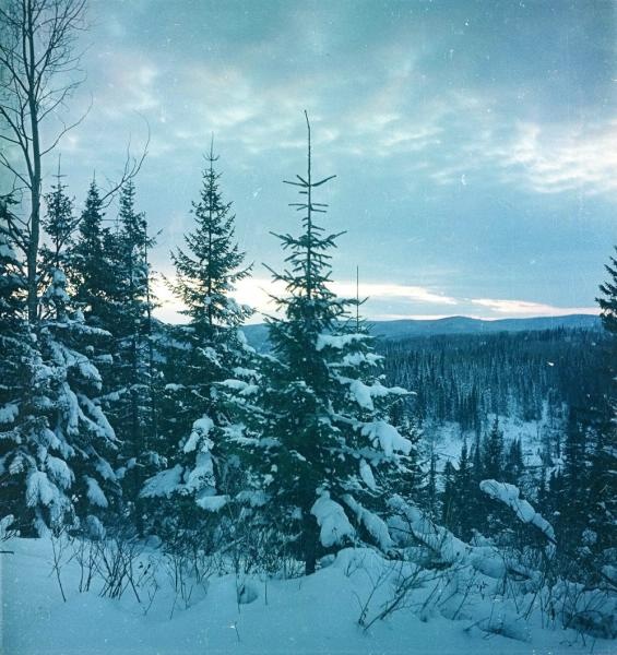 Фото железной руды в природе