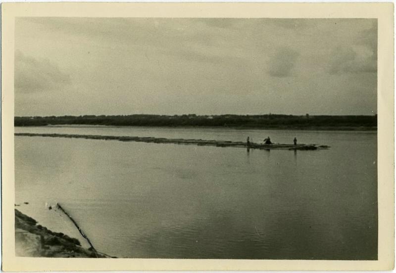 Река Молога, 1920-е, Вологодская губ.