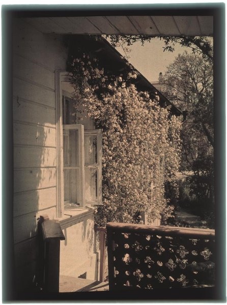 Без названия, 1910-е, Таврическая губ., г. Ялта. Выставка «Ялта – город счастья» с этой фотографией.&nbsp;