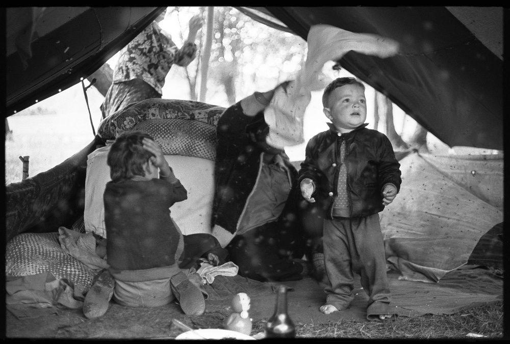 Мухи. Цыгане-скотогоны, 29 августа 1980, Горный Алтай, Долина реки Урсул близ Онгудая. Выставки&nbsp;«10 фотографий с насекомыми», «Неуловимые. Люди без границ» с этой фотографией.