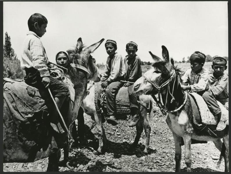 «Уступи дорогу», 1965 год, Узбекская ССР. Выставка «20 лучших фотографий Эдуарда Пенсона» с этой фотографией.