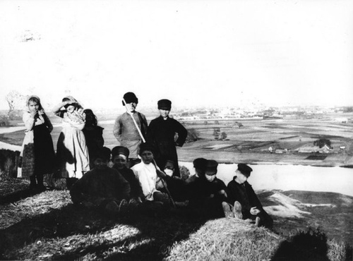 Вид на Лужники, 1900-е, г. Москва
