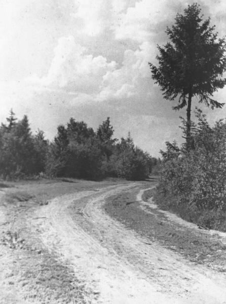 Проселочная дорога, 1940 год