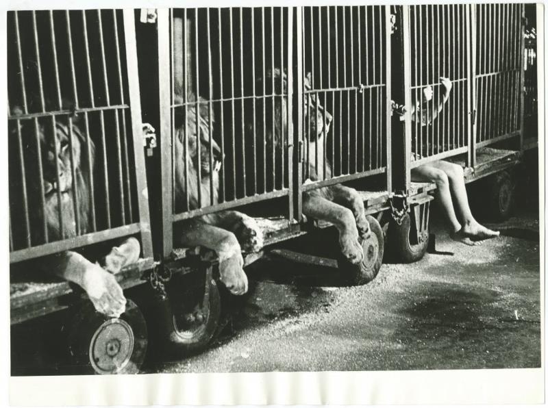 За кулисами Шапито, 1979 год. Выставка «Будни эпохи застоя» с этой фотографией.