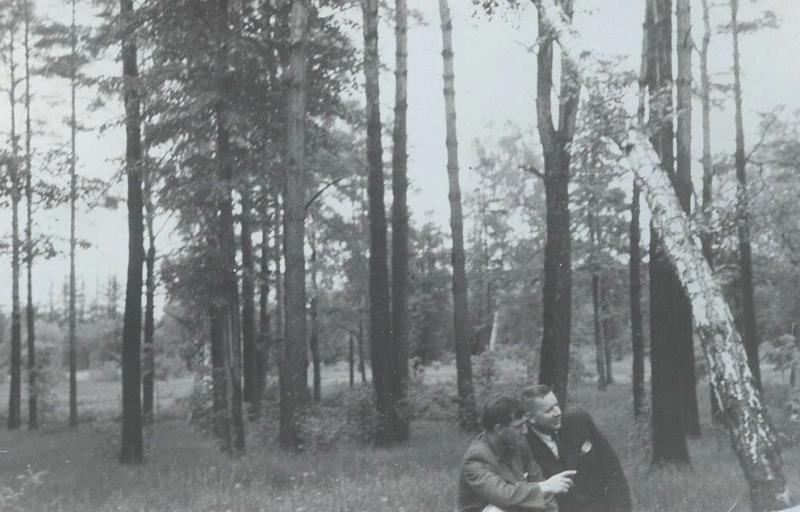 Лес, 1954 год