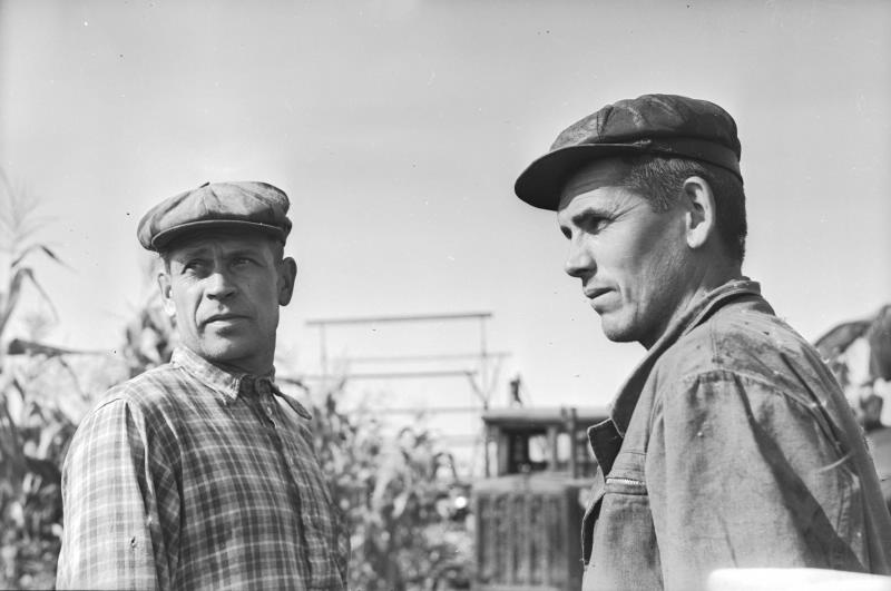 Механизаторы на кукурузном поле, 1955 - 1965, Алтайский край, Барнаул. Двое мужчин в кепках стоят на фоне кукурузного поля и трактора ДТ-54.