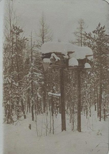 В лесу, 1910-е. Из серии «Этнографическая экспедиция по Северу».