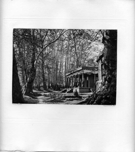 Чайхана в зарослях деревьев, 1901 год, Самаркандская обл., пос. Ургут
