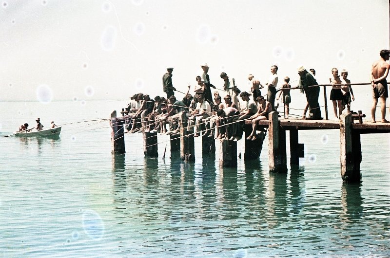 На берегу водоема, 1950 - 1969. Выставка «"Ловись рыбка большая..." Рыболовный бум в СССР» с этой фотографией.