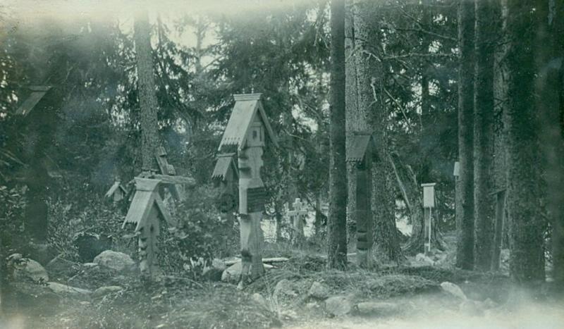 Вид на угол кладбища в лесу, 1900-е, Карелия АССР, г. Кемь. Выставка «Карелия» с этой фотографией.