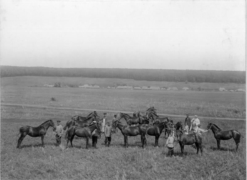 Табун лошадей на пастбище, июнь 1903. Видео «К 180-летию фотографии. Эпизод V: "Аристотипные бумаги"» с этим снимком.