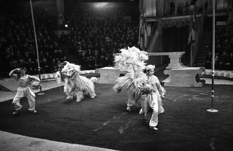 Фото "Китайский цирк. Пантомима «Танец львов»", 1957 год, г. Москва ...