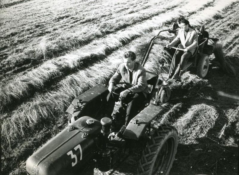 Трактор на поле, 1960 - 1965, Минская обл., Ждановичи р-н