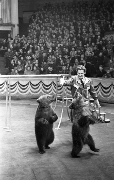 Дрессировщик Иван Кудрявцев выступает в номере с медвежатами на манеже Московского цирка на Цветном бульваре, 1959 - 1960, г. Москва
