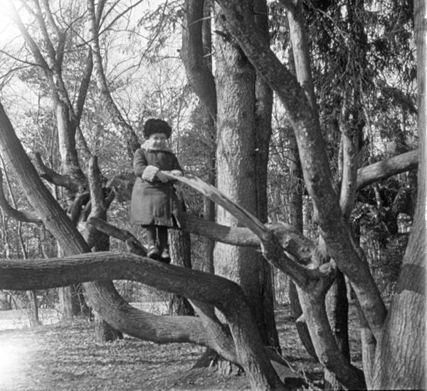 В лесу, 1910-е. Сын фотографа.