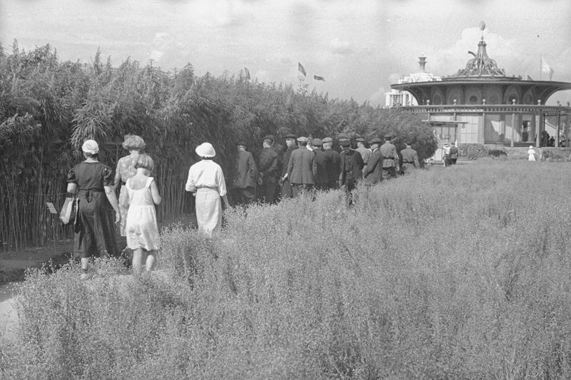 ВСХВ. Кукурузное поле, 1939 год, г. Москва