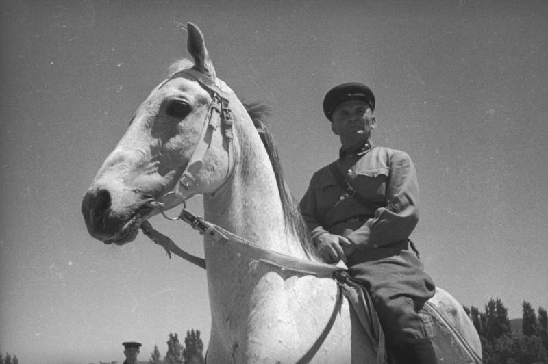 Кавалерист на лошади, 1930-е