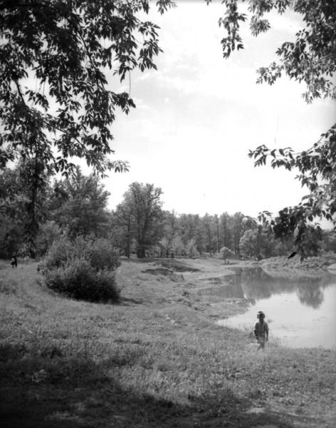 У пруда в Сокольниках, 1950-е, г. Москва