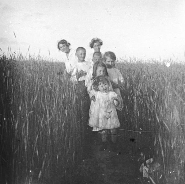 В поле, 1910-е. Выставка «Дача, прощай!» с этой фотографией.