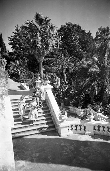 В парке дендрария Сочи, 1957 - 1958, Краснодарский край, г. Сочи