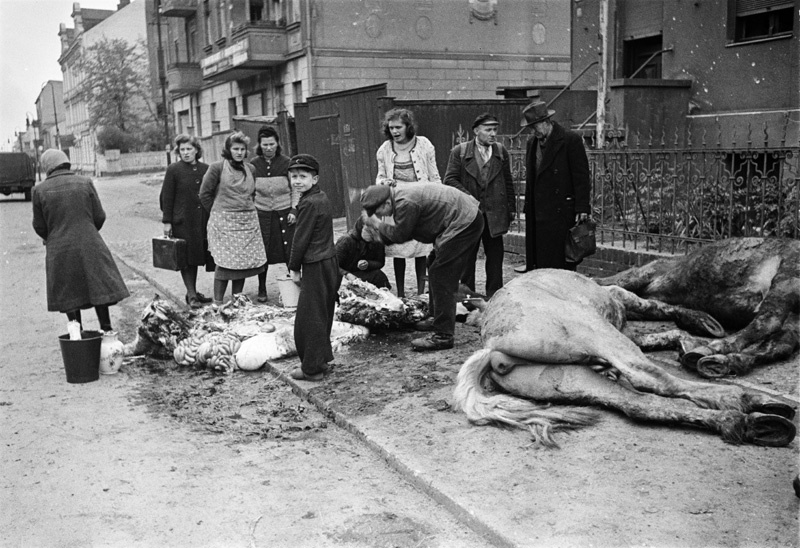 Гражданское население, май 1945, Германия, г. Берлин. Рубят коней.