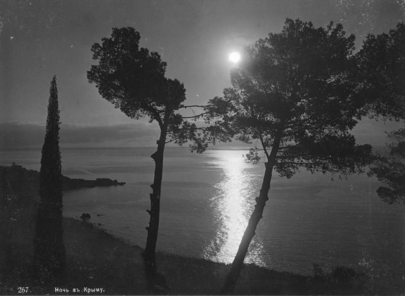 Ночь в Крыму, 1903 - 1910, Таврическая губ.. Выставка «10 лучших фотографий Крыма» с этим снимком.