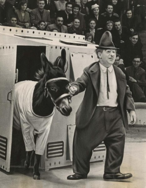 Клоун Карандаш, 1955 - 1962, г. Москва. Заслуженный артист РСФСР Михаил Николаевич Румянцев выступает на манеже Московского цирка на Цветном бульварев репризе с ослом.