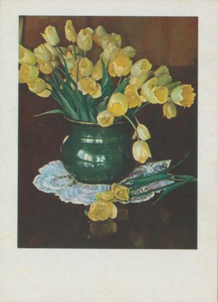 Тюльпаны, 1957 год, Латвийская ССР, г. Рига