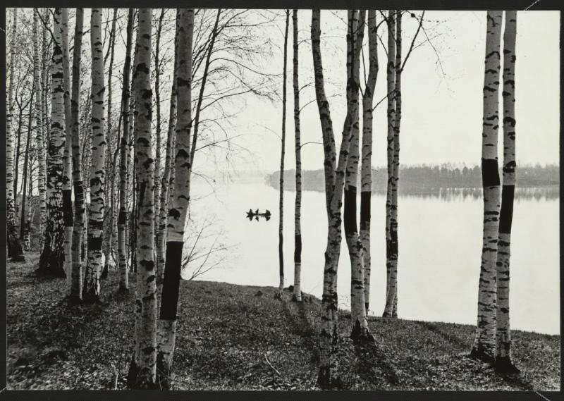 Тишина, 1958 год. Выставка «15 лучших фотографий Виктора Руйковича» с этой фотографией.