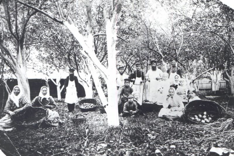Сбор урожая в саду Осиповых. Группа крестьян с корзинами, 1910-е. Выставка «Новый урожай» с этой фотографией.