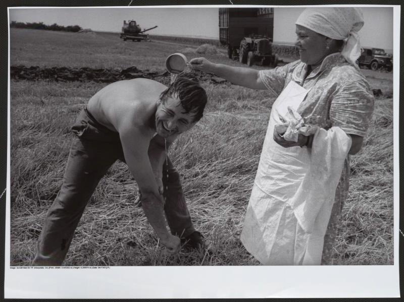 Утренний моцион. Колхоз имени В. И. Ленина, 1971 год, Ставропольский край, Ипатовский р-н, колхоз им. Ленина. Из серии «Хлеб наш насущный».
