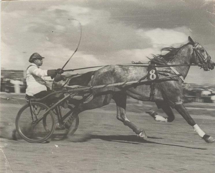 На ипподроме, 1930-е. Выставка «По коням!» с этой фотографией.&nbsp;