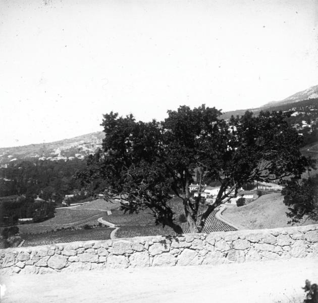 Горный пейзаж, 1891 - 1910, Таврическая губ., Крым, пос. Кореиз