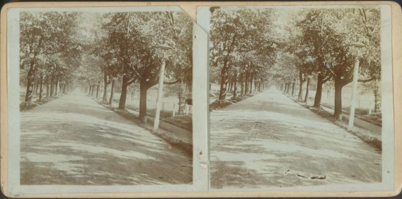 Панорамный вид на аллею, 1890 - 1909