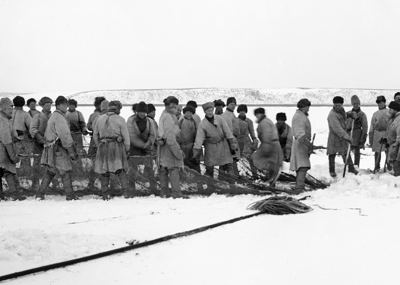 Лов зимним неводом, 1910 год, г. Галич. Рыбаки Рыбной слободы.
