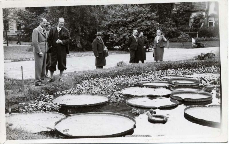 Федор Шаляпин с друзьями на прогулке, 1937 год, Италия. Последняя поездка Федора Шаляпина в Италию, за год до смерти. В водоеме Виктория амазонская, или Виктория регия, считается самой большой кувшинкой в мире.