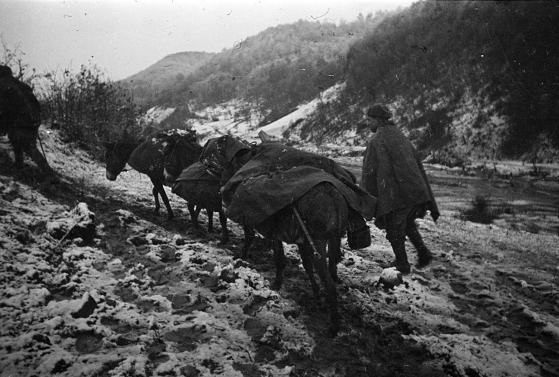 Восточно карпатская операция 1944 карта